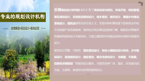 龍泉旅游景區(qū)規(guī)劃設(shè)計公司的服務(wù)內(nèi)容與費用解析