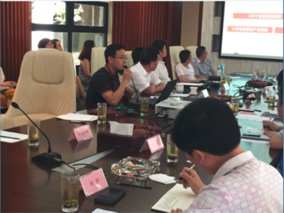 四川眉山田園岷東國際旅游度假區(qū)（康養(yǎng)溫泉小鎮(zhèn)）綜合開發(fā)項(xiàng)目策劃及概念性規(guī)劃